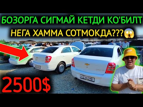 Видео: 19-СЕНТЯБР КО'БИЛТ НАРХЛАРИ 2024.ХАММА СОТИШ ДАРДИДА 2500$💥 КО'БИЛТЛАР😱СИНДИ.КОКОН МОШИНА БОЗОР 2024