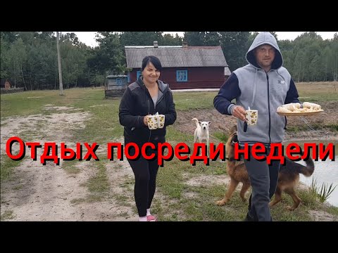 Видео: Какое зерно лучшее для коз и овец?Если не насобираем грибов, то рыбы наловим. Перерыв посреди недели