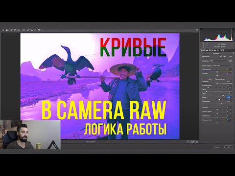 Видео: Camera Raw - работа с кривыми