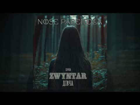 Видео: Noise Pareidolia - Дівча (Zwyntar cover)