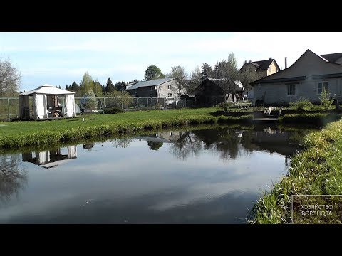 Видео: Пруд с рыбой на даче. Какие радости и заботы. Зарыбление, обслуживание, отдых