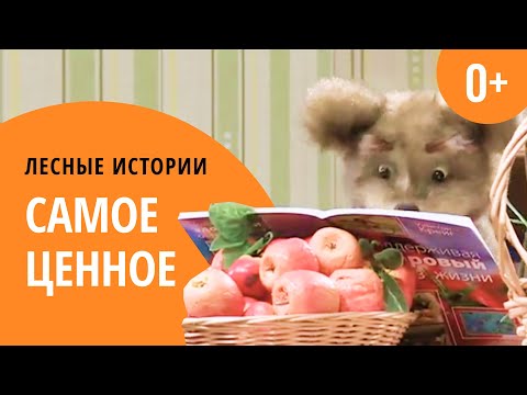 Видео: Самое ценное | Лесные истории (0+)