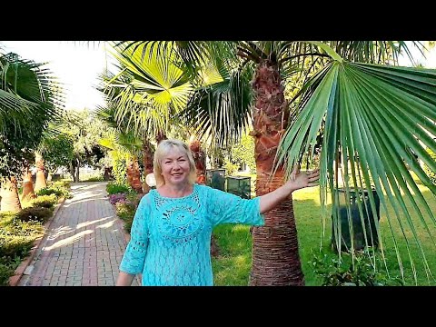 Видео: ВСЕ ВКЛЮЧЕНО в Турции.Очередь за невкусным мясом.Не знали,что можно так MC Beach Resort 5*