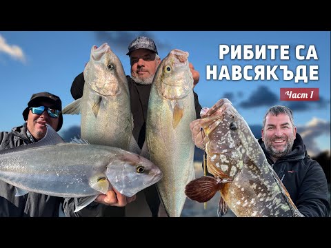 Видео: Пикът на сезона – рибите са навсякъде / 1 част /