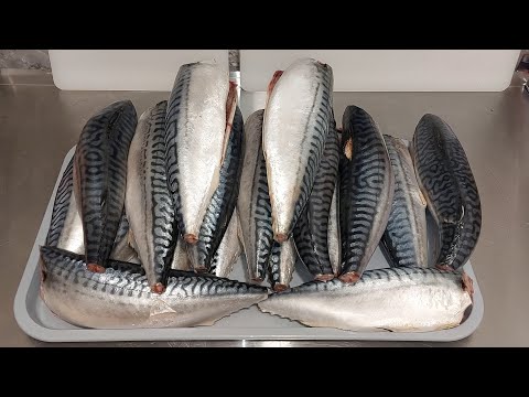 Видео: Такую вкуснятину вы ещё не ели! Скумбрия в томатном соусе с овощами. Подробный пошаговый рецепт.