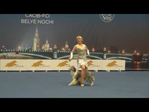 Видео: Шинкаревич Любовь и бк Айскнехт Твист. 2-й выход