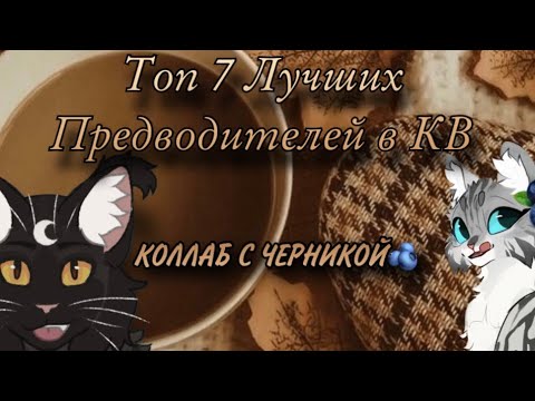 Видео: ☕️✨Топ 7 Лучших  Предводителей В Котах-Воителях✨☕️