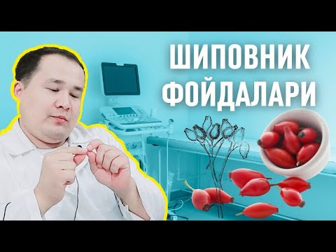 Видео: ШИПОВНИК-НАЪМАТАКНИ ШИФО ФОЙДАЛАРИ ВА 3- УСУЛДА ИЧИШ ҚОИДАСИ