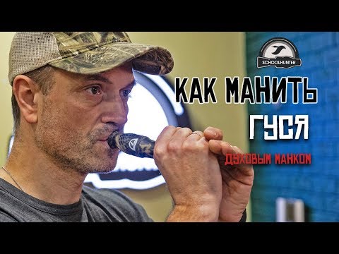 Видео: Как манить белолобого гуся духовым манком.