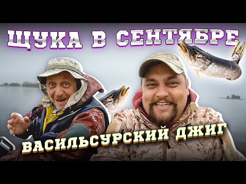 Видео: ЩУКА В СЕНТЯБРЕ | ВАСИЛЬСУРСКИЙ ДЖИГ | #рыбалка #джиг #рыбалка2023 #спининг #волга  #щука