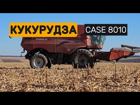Видео: Збирання кукурудзи, комбайн Case 8010