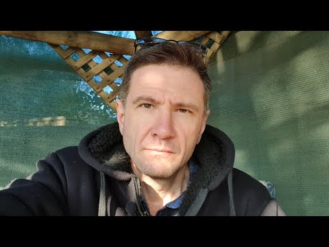 Видео: Самый сильный Страх иммигранта в Австралии