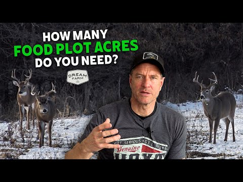 Видео: Сколько акров земли вам нужно? | Ферма мечты с Биллом Уинке