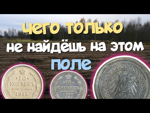 Видео: №195 Чего только не найдёшь на этом поле. Поиск старины с Эквинокс 800.