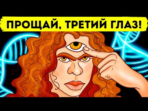 Видео: У людей могло быть 3 глаза, но со временем один из них просто пропал