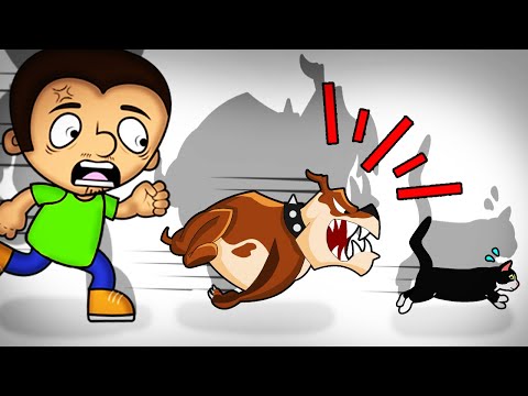 Видео: Секреты дрессировки и лайфхаки для собак и котов. Сборник от Супер Антоши