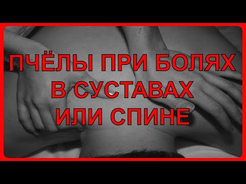 Видео: ❤ Как пчёлы спасают пчеловодов от остеоартроза и не только ❤