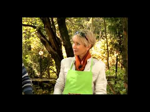 Видео: «На Шашлыки» с Ириной Богушевской