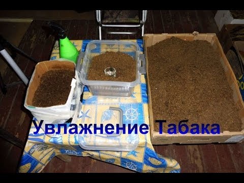 Видео: Увлажнение Табака - три простых способа.