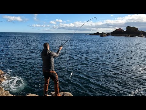 Видео: Ловля трески и минтая на приманку | Морская рыбалка в Великобритании