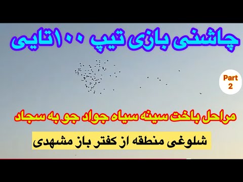 Видео: Голуби заполонили старую дорогу в Мешхеде! Игра со ста командами! Этапы поражения Джавада Джу от ...