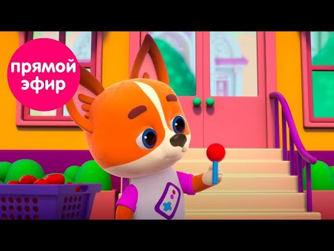 Видео: КОШЕЧКИ-СОБАЧКИ🐱  🐶  - Суперпремьера!  Все серии подряд!