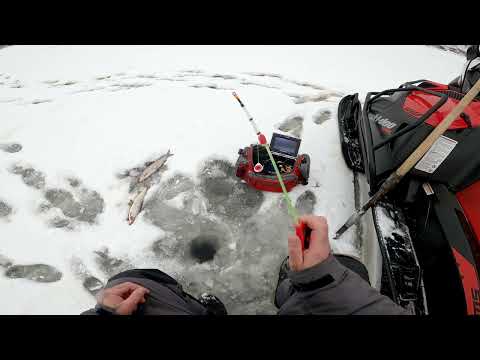 Видео: Рыбалка на Нижней Тунгуске. Туруханск