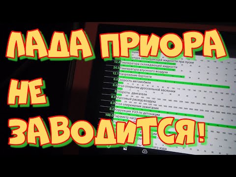 Видео: Лада Приора 2010 год  не заводится. Любительская диагностика.