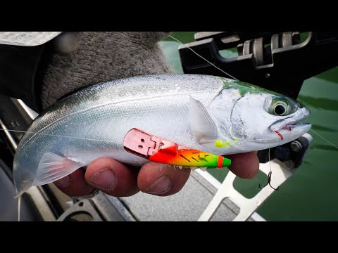 Видео: Эта приманка для форели просто сокрушает рыбу! Как оснастить и ловить форель троллингом.