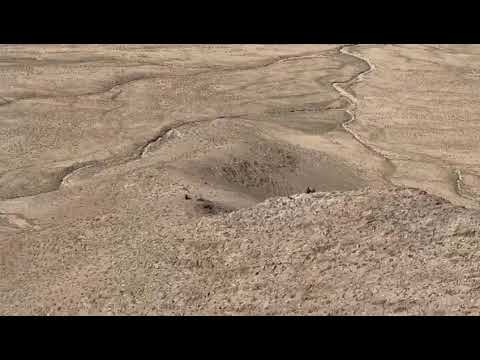 Видео: 5 ноября 2025 г.