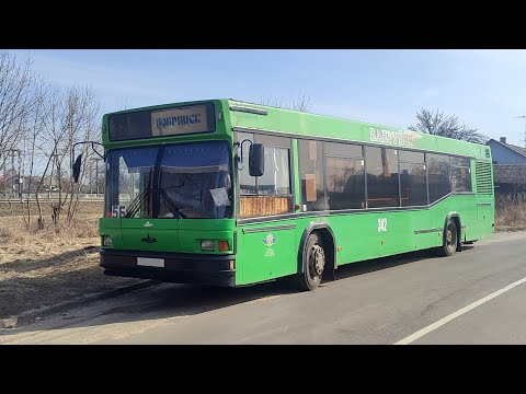 Видео: Бабруйск, аўтобус МАЗ-103 №342, маршрут 5Б (12.03.2024)