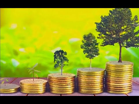 Видео: Лес как объект политики