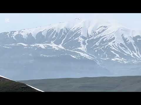 Видео: Куйлар яйловга кетди гусфандо айлок рафт