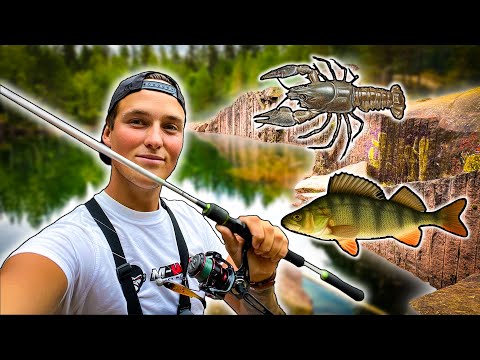 Видео: Исследуем Новый ЗАБРОШЕННЫЙ КАРЬЕР (В поисках Крупного Окуня)| Team Galant