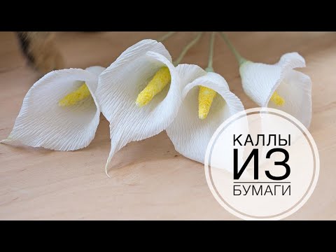 Видео: Paper callas / Каллы из бумаги / DIY Tsvoric