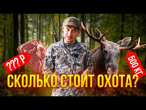Видео: Сколько стоит стать ОХОТНИКОМ? 💥 Выгодно ли добывать мясо на охоте? Считаем ЗАТРАТЫ на ОХОТУ!