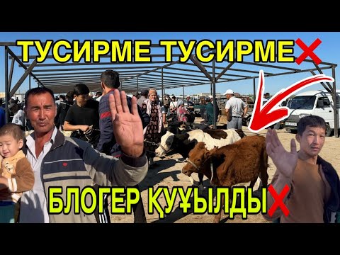 Видео: ТУСИРМЕ❌! БАЗАР АРЗАНЛАДЫ! 7-СЕНТЯБР ШЫМБАЙ МАЛ БАЗАРЫ БАХАЛАРЫ ӨЗГЕРДИ
