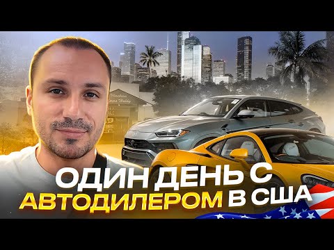 Видео: Рабочий день автодилера в США. Регистрация авто в DMV. Аукцион Манхейм в Хьюстоне