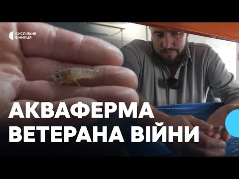 Видео: Вирощує креветки й австралійські раки: на Вінниччині ветеран створив акваферму