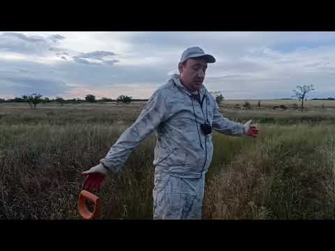 Видео: #Наша крутая находка в первые летние дни!!!