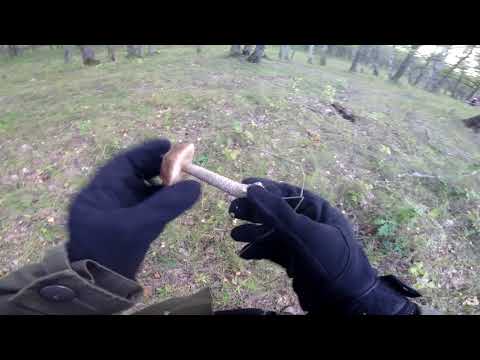 Видео: Покатушка на ЗиД 50 Пилот к лесному озеру ,урочище Моторин