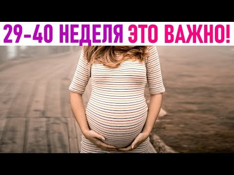 Видео: 6 ВАЖНЫХ ПРАВИЛ С 29 ПО 40 НЕДЕЛИ БЕРЕМЕННОСТИ | Что нельзя делать в третьем триместре беременности