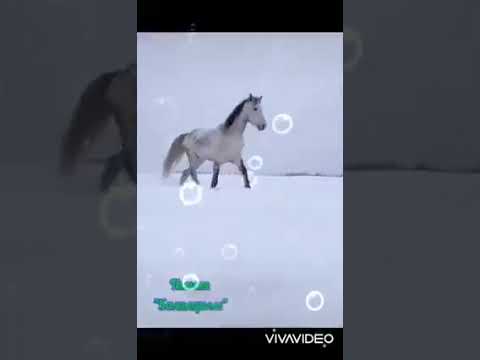 Видео: Балаларым