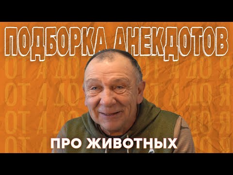 Видео: Подборка анекдотов про животных