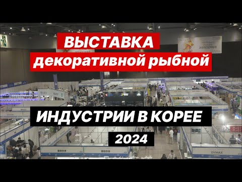 Видео: Съездили на Корейскую выставку декоративной рыбной индустрии 2024