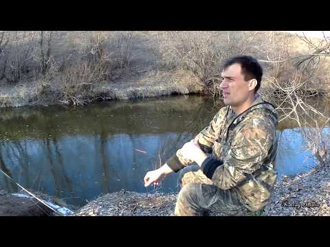 Видео: Ловля голавля. Рыбалка на донки на куриную печень с эластичным бинтом. Голавль на печень #2