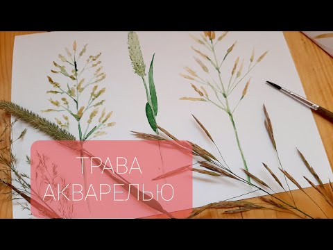 Видео: Рисуем ТРАВУ АКВАРЕЛЬЮ.  Уроки рисования для новичков
