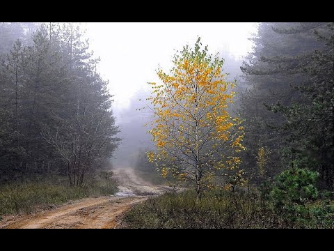 Видео: "СКВОЗЬ ОСЕННЮЮ МЕЛАНХОЛИЮ"... (Фото Игоря БАРАНОВА (Рязань), музыка Альберта АРТЕМЬЕВА (Иваново)