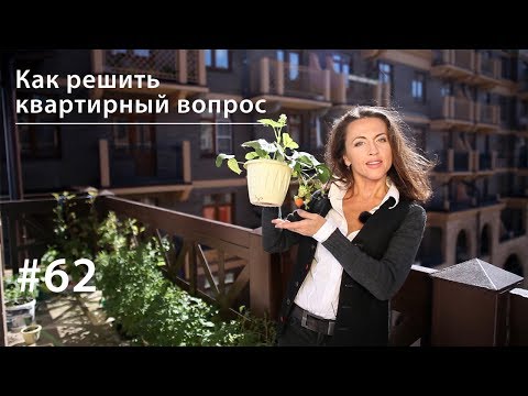 Видео: Решаем квартирный вопрос: 10 проверенных способов // Всё как у зверей #62