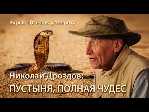 Видео: Николай Дроздов: в мире животных пустыни \\ лекция для "Всё как у зверят"